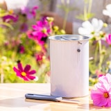 thumbnail of Spendendose, HMF 46000-07, 14,5 x 10 cm, Lichtgrau