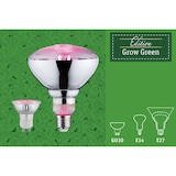 thumbnail of Paulmann Grow Green Edition Filament 230V LED Reflektor GU1095lm 3,5W 1100KSilber#Wachstumslicht 28974