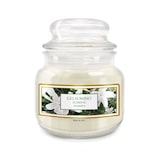 thumbnail of 3 Velas Jasmine 25 Horas C/ Tampa