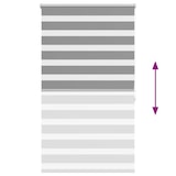 thumbnail of vidaXL Doppelrollo Seitenzug Duo Rollo 80 x 175 cm grau