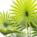 thumbnail of Atmosphera - Planta decorativa Tronco de Palmera
