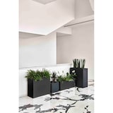 thumbnail of TeraPlast Schio Cassa Maxi 80 Pflanzkübel Anthrazit 80cm Trog 135L