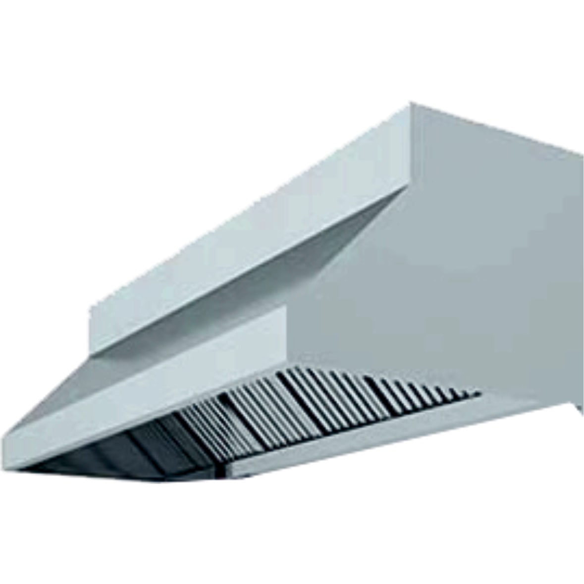 Campana Con Plenum Extractora Industrial Para Cocinas De Acero Inoxidable Aisi 304  2800X750X700Mm