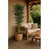 thumbnail of NATURN LIVING Kunstpflanze Bambus – ø 18 x 135 cm – Phyllostachys – Wartungsfreie Bambuspflanze – Grün