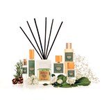 thumbnail of Acqua di Bolgheri - Cipresso Nobile Raumduft Nachfüller 500 ml CN-2204