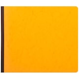 thumbnail of Exacompta - Réf. 16800E - 1 Piqûre Journal de caisse ou banque 27x32cm à tête paresseuse 2 libellés : 6 crédit et 13 débit - 31 lignes