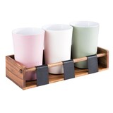 thumbnail of APS Dressingtopf/Dressingbehälter -PASTELL-Ø 13 cm, H: 19,5 cm