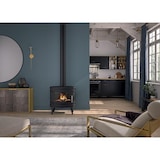 thumbnail of Poêle à bois vintage P648304