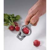 thumbnail of Decor-radis - Westmark