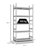 thumbnail of PROREGAL Weitspannregal Stecksystem T-Profil | HxBxT 300x150x50cm | 5 Ebenen | Stahlplatten-Fachboden | Fachlast 350kg | Verzinkt | Lagerregal