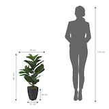 thumbnail of Kunstpflanze / Kunstbaum LYRATA Geigenfeige 80 cm Kunststoff grün hjh OFFICE