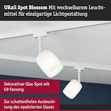thumbnail of Paulmann URail Schienenspot BlossomG9max. 10Wdimmbar 230V Signalweiß 94881