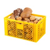 thumbnail of 4 Stück Bäckerkisten / Brotkisten 600 x 400 x 320 mm in gelb