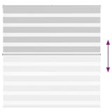 thumbnail of vidaXL Zebra rolgordijn 145x150 cm stofbreedte 140,9 cm lichtgrijs