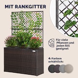 thumbnail of CASARIA® Blumenkasten Pflanztopf mit Rankgitter braun