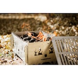 thumbnail of Hubo Outdoor-Grill – Tragbar, zerlegbar & sicher für Camping, Picknick & Garten