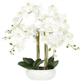 thumbnail of LIGNE DÉCO Orchidées artificielles blanche 55cm
