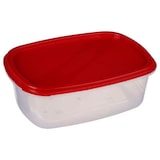 thumbnail of WellHome - Set di 6 contenitori rettangolari impilabili con coperchio multicolore (0,3L + 0,5L + 0,7L + 1,15L + 1,8L + 2,8L)