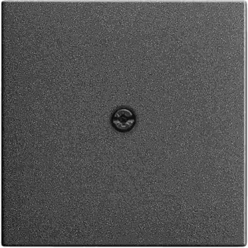 System 55 Zentralplatte, Kabelauslass, anthrazit, Befestigung mit Schraube, ohne Beschriftungsfeld, 27428