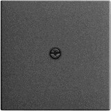 thumbnail of System 55 Zentralplatte, Kabelauslass, anthrazit, Befestigung mit Schraube, ohne Beschriftungsfeld, 27428