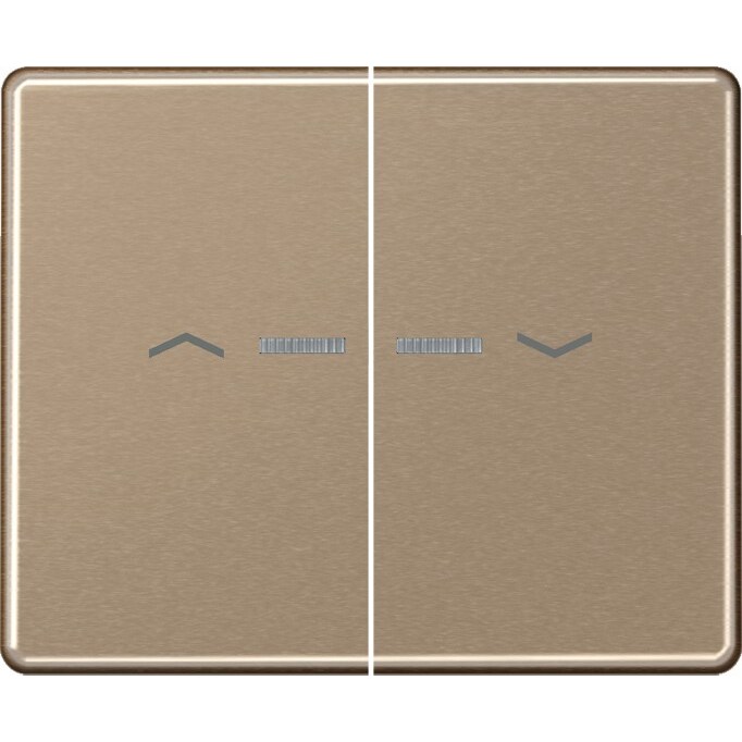 Jung Wippe Symbole/Lichtl.gold SL 595 KO5P GB SL595KO5PGB