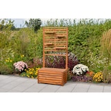 thumbnail of Merxx Sichtschutz mit Kissenbox und Ablageflächen, Akazie