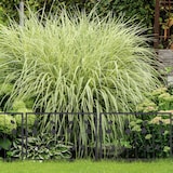 thumbnail of Relaxdays Beetzaun, je HxB: 60 x 60 cm, Metall, Garten Beeteinfassung zum Stecken, 4 dekorative Zaunelemente, schwarz