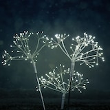 thumbnail of LED Gartenstecker Feuerwerk Firework mit Fernb Leuchtstäbe 3er Set weiß