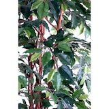 thumbnail of VERT ESPACE plante artificielle ficus lianes grandes feuilles 150 CM