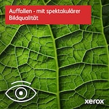 thumbnail of Xerox C320V/DNI - Drucker - Farbe - Duplex - Laser - A4/Legal - 1200 x 1200 dpi - bis