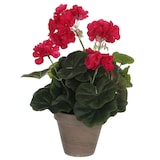 thumbnail of Geranium Rose Foncé Pvc Avec Pot Gris
