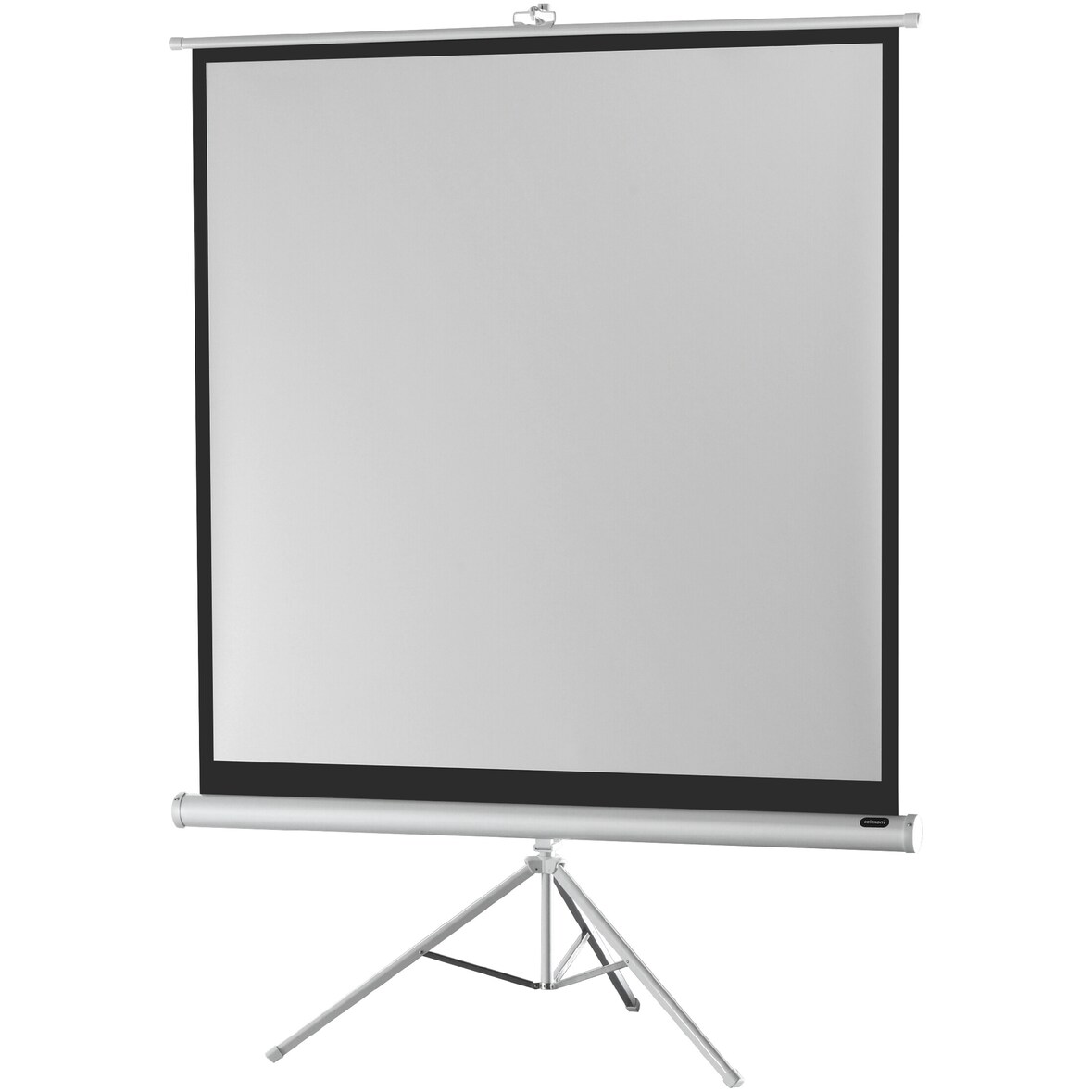celexon Stativleinwand Economy 244 x 244 cm - White Edition