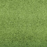 thumbnail of vidaXL Deurmat Anders Groen en Zwart 120 x 250 cm Polyamide en PVC