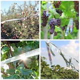 thumbnail of Dayshake Vogelabwehrband 80 Meter - Holografisches Vogelabwehrmittel - Taubenabwehrmittel - Vogelscheuchenabwehrmittel - Reiherabwehrmittel