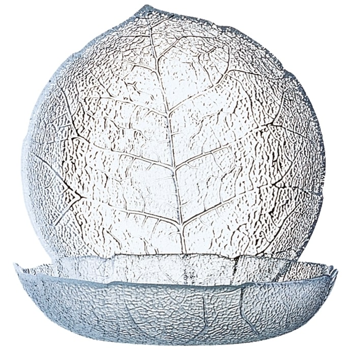 48 x Puddingteller ASPEN 14,5 cm Höhe 36 mm - Durchmesser 145 mm Arcoroc