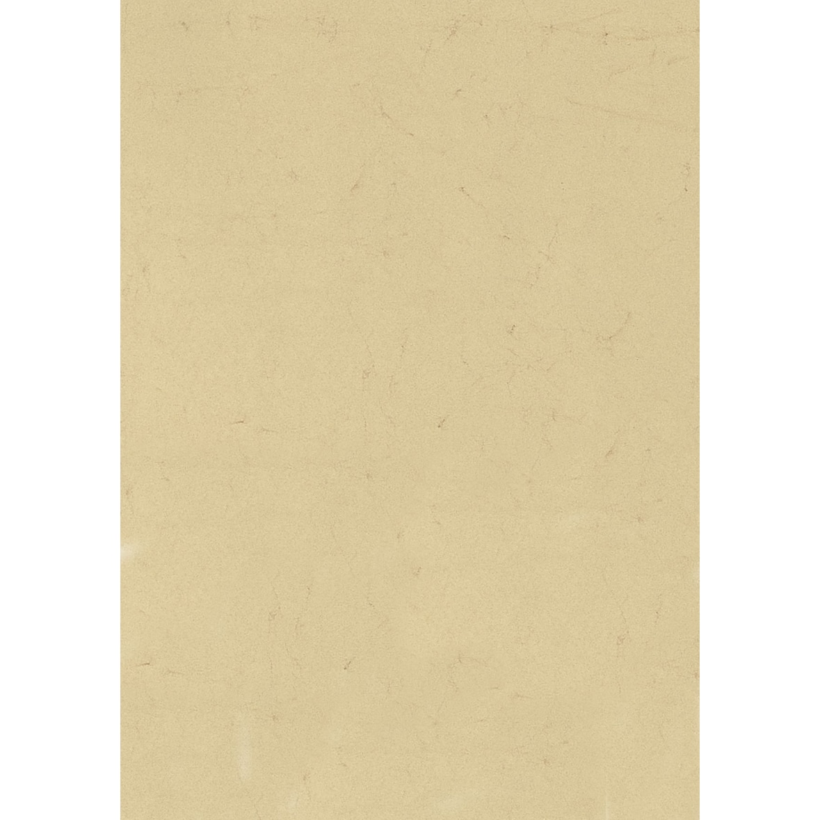 Elefantenhaut 50x70cm 110 g/qm chamois Packung mit 10 Stück