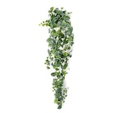 thumbnail of Scindapsus pictus arbusto colgante 180cm verde/gris