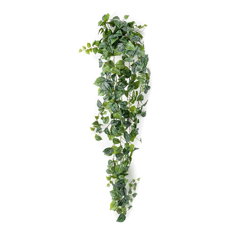 mobile_image