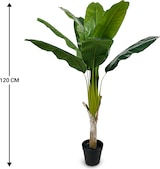 thumbnail of IvoQ Kunst-Bananenpflanze 120 cm – Realistisch und Pflegefrei – Perfekt für jeden Einrichtungsstil