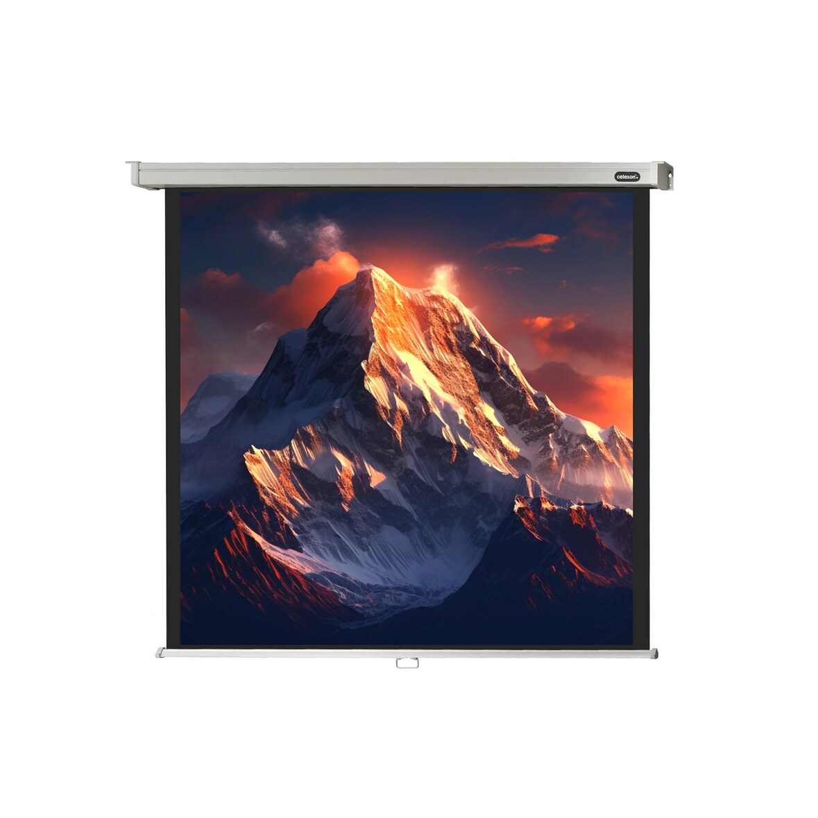 celexon Leinwand Rollo Professional 280 x 280 cm - 156`
