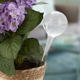 thumbnail of Relaxdays Bewässerungskugel 2er Set, dosierte Pflanzen Bewässerung, Blumentopf, Gießhilfe Büro, Glas Ø 9 cm, transparent