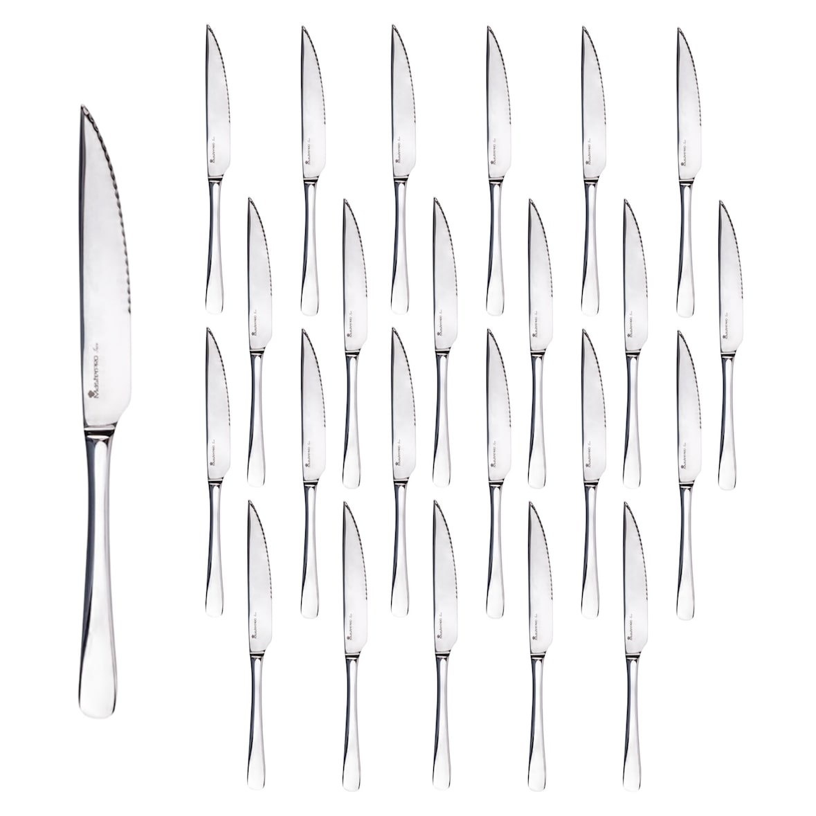 BERGNER - Juego de 24 Cuchillos de carne en Acero Inoxidable - Foodies