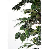 thumbnail of VERT ESPACE plante artificielle ficus exotica 180 CM