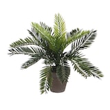 thumbnail of MICA DECORATIONS - Palmier sagou (Cyca Revoluta) Pvc avec pot gris 33X11.5Cm