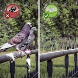thumbnail of 6 Metros Pinchos Antipalomas de Acero - Repelente Pajaros Palomas Gatos Gaviotas