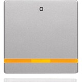 thumbnail of Berker Wippe alu/lack 16246084