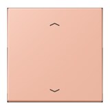 thumbnail of Jung Wippe mit Pfeilsymbolen LC 101P 231 LC101P231