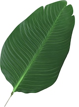 thumbnail of Outsunny planta de decoración artificial de palma árbol realista con maceta 7 hojas Ø15x120 cm