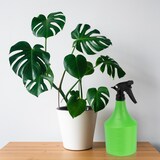 thumbnail of Relaxdays Sprühflasche 2er Set, 1l, nachfüllbar, Handsprüher für Blumen, Pflanzen, einstellbarer Sprühkopf, grün/schwarz