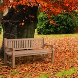 thumbnail of Teakbank Jackson V2 teak/180 cm